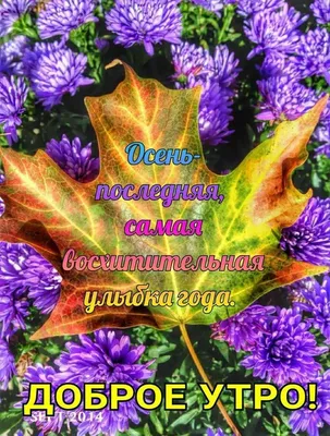 Доброго, нового нам октября 😘