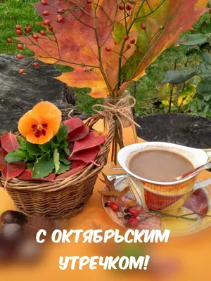 Воскресенье. Осень. Планы. Следочки. | МОЙ СУНДУЧОК | Дзен