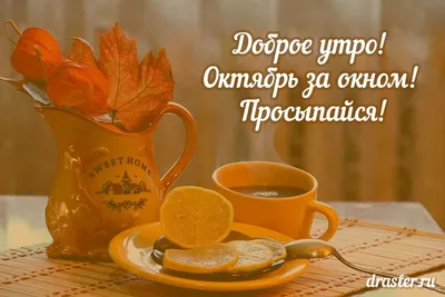 С добрым утром октября - самые красивые новые картинки (61 ФОТО) | Веселые  открытки, Доброе утро, Картинки