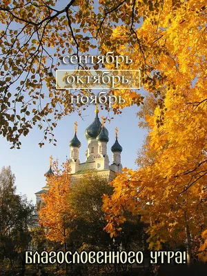Картинки с Добрым утром ноября (60 штук)