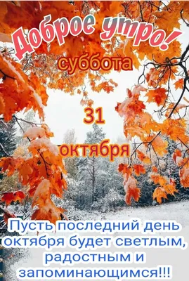 Картинки \"С добрым утром ноября\" (101 фото)