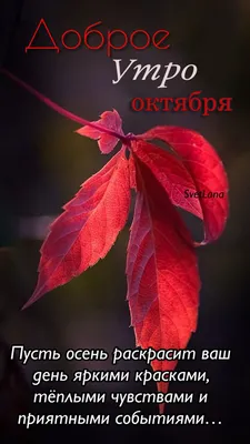 С добрым утром 💞 | Доброе утро, Октябрь, Осень