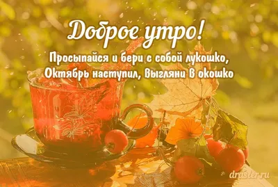 всё обо всём - - Доброе утро! - Ещё денёк, друзья – Октябрь! Уж, на пороге  - старший брат, Спешит, торопится Ноябрь, Сменить братишку очень рад! Ну,  что поделать? Да, уходит, Несётся