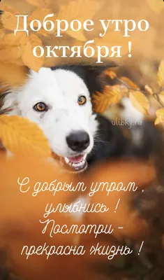 Гифки \"С добрым октябрьским утром!\" (75 шт.)