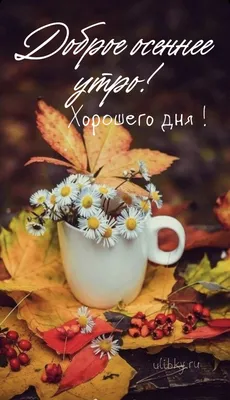 Доброе утро осень пятница (Большое количество фото внутри) - treepics.ru