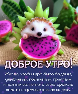 🌞 С добрым утром! 🌹 | Поздравления, пожелания, открытки с Новым годом! |  ВКонтакте