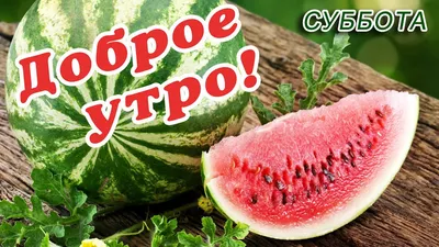 Доброе утро! Хорошей субботы!: arbitr57 — LiveJournal - Page 2