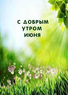 https://ru.pinterest.com/pin/642818546842201767/