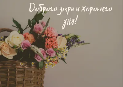 Доброе утро | Доброе утро, Счастливые мысли, Счастливые картинки