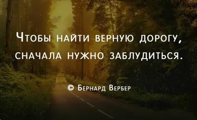 Доброе утро, мои родные! «Правдивые слова некрасивы, красивые слова  неверны… | Повествования Мудрого Волка | Дзен