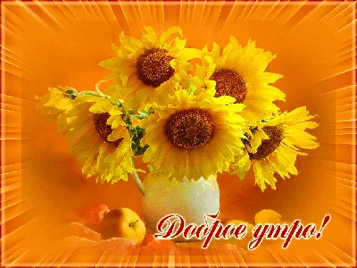 Стучится солнышко в окошко - скорее глазки открывай, с улыбкой день свой  начинай! | Flower power, Sunflower, Flowers