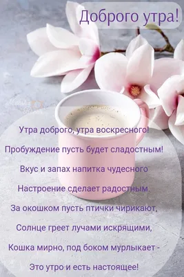 Ирина Зенкина - #доброеутро #позитив #хорошеенастроение | Facebook