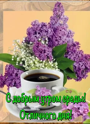 Доброе майское утро!: baba_c_voza — LiveJournal - Page 2
