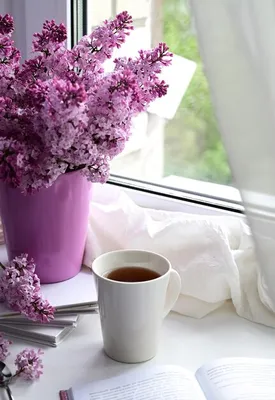 Чашка кофе по утрам на светлом фоне чашу макароны сирени. Доброе утро  открытки Стоковое Фото - изображение насчитывающей макарон, влюбленность:  181802336