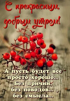 улыбка #жизнь #доброеутро #настроение#весна#любовь | Instagram