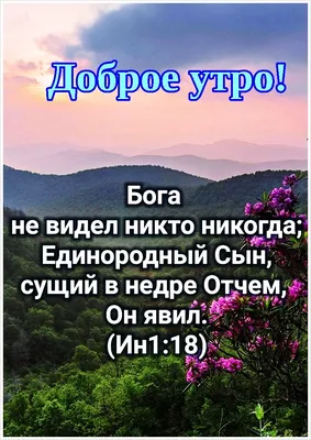 Пусть утро будет добрым, день радостным, а вечер тёплым и уютным ! |  Статусы и цитаты. НЕВЕСТА ХРИСТА. | ВКонтакте