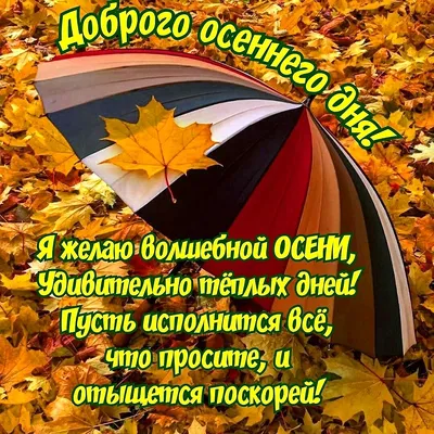 Доброе Утро Среды Осень Сентябрь | 14 новых красивых картинок