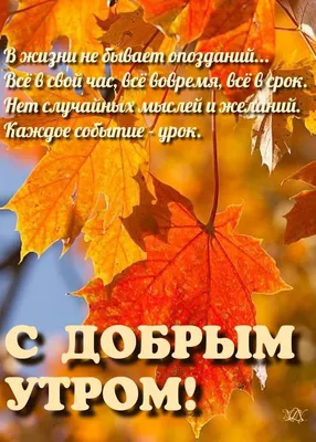 Доброе осеннее утро среды - новые оригинальные картинки (28 ФОТО) в 2023 г  | Осень, Утро воскресенья, Осенние картинки