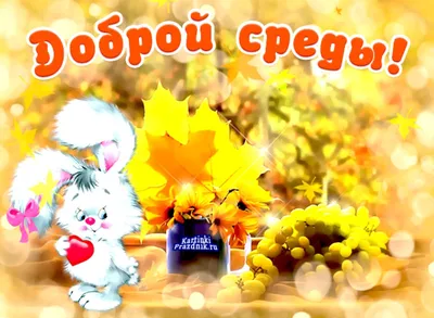 Доброеутро🌼 #среда | TikTok