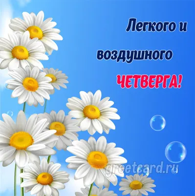 Картинки с пожеланием «Хорошего четверга!» | Утро четверга, Четверг, Доброе  утро