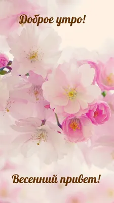 Что символизируют весенние цветы? - Be Master