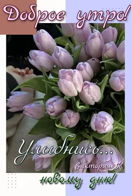 Pin by Olga Frunze on доброе утро | Beautiful flower arrangements,  Beautiful flowers, Flower arrangements