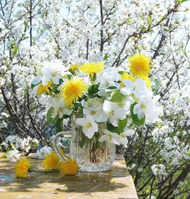 Доброе утро весенние цветы (Много фото) - treepics.ru