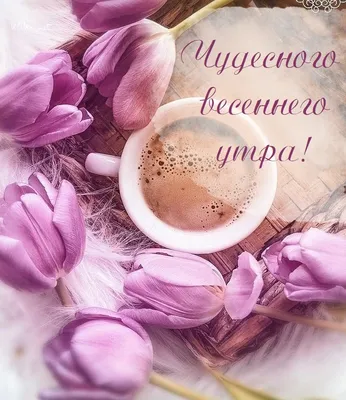 Доброе утро!💕 в 2023 г | Весенние цветы, Цветы, Доброе утро