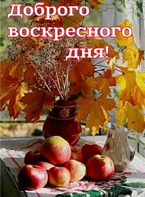 Доброе утро в 2023 г | Доброе утро, Воскресенье, Утренние цитаты