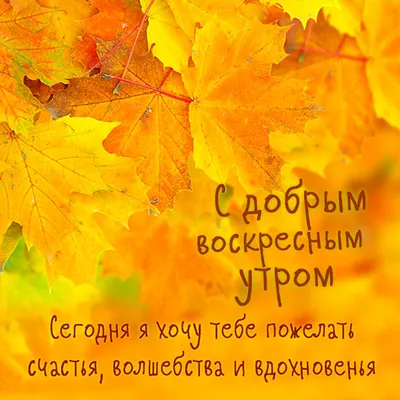 Супер реалистично доброе утро …» — создано в Шедевруме