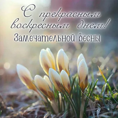 Воскресенье. Осень. Планы. Следочки. | МОЙ СУНДУЧОК | Дзен