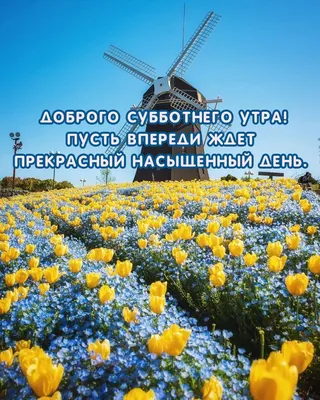 Доброго субботнего утра! #👋🤗😘💃⚘️ #доброеутречко #субботавыходной... |  TikTok