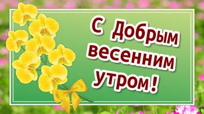 Картинки с надписью - С добрым весенним утром! Хорошего дня и настроения..