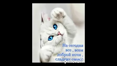 добройночи#спокойной#ночи#волшебныхснов#рекомендации | TikTok