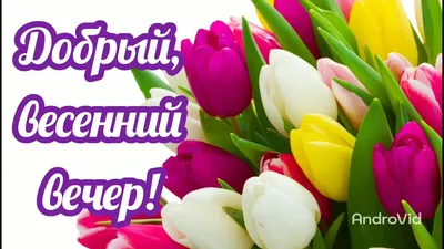 Доброго весеннего вечера! ~ Открытка (плейкаст)