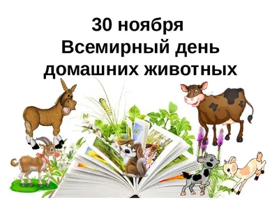 Чернышковский муниципальный район Волгоградской области - В чём польза домашних  животных для детей?