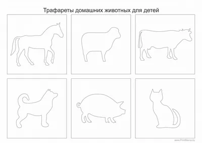 Закон о регистрации домашних животных: что нужно знать - Дом и уют - Журнал  Домклик