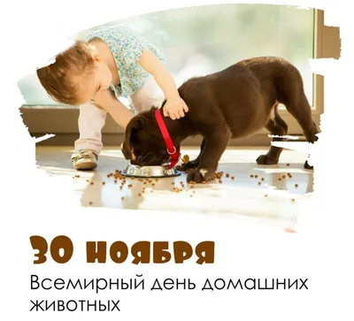 Трейлер: плохой кошкопес в \"Тайной жизни домашних животных 2\" - Российская  газета