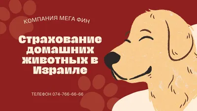 Домашних животных теперь нужно регистрировать в администрации района -  19.06.2023, Sputnik Беларусь