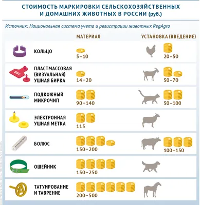 В России разработали нейросеть для поиска домашних животных по фото | РБК  Life