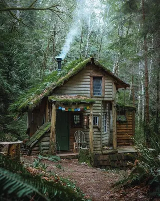 Картинки домик в лесу фотографии