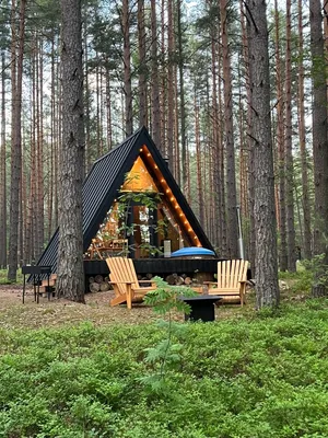 Уникальные домики на деревьях Woodnest парят в норвежском лесу » 24Warez.ru  - Эксклюзивные НОВИНКИ и РЕЛИЗЫ