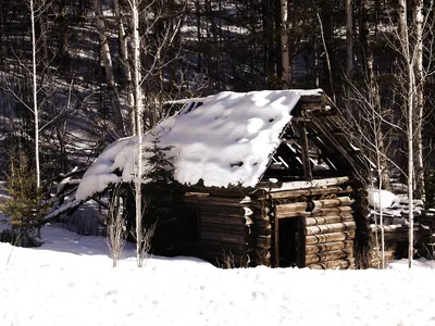 Домик в лесу зимой - красивые фото