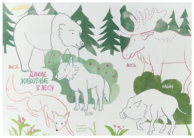 Животные. Sketchbook. Дорисуй. Книги для скетчей, рисунков и записей | . .  Купить в Санкт-Петербурге