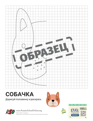 Я учусь рисовать. Обведи и дорисуй (для девочек и мальчиков, животные,  динозавры) купить по цене 49 ₽ в интернет-магазине KazanExpress