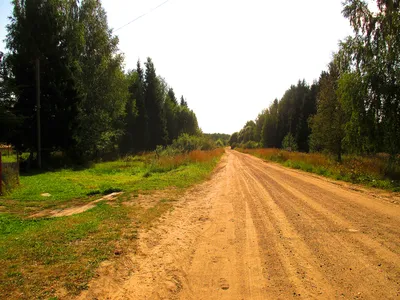 Файл:Грунтовая дорога в деревне Володарское.jpg — Википедия