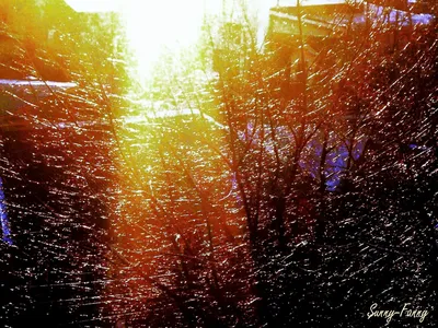 картинки : воды, падение, солнце, Восход, закат солнца, утро, дождь, лист,  окно, стакан, влажный, Размышления, Погода, круг, капли дождя,  Замораживание, Макросъемка 2048x3072 - - 1152912 - красивые картинки -  PxHere