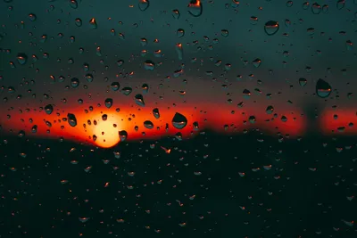 Солнце после дождя - красивые фото