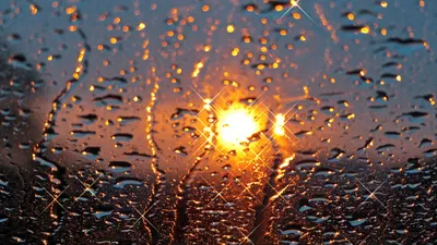 Дождь и солнце (59 фото) - 59 фото