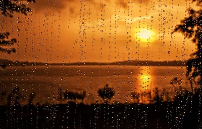 Погода в Туле на субботу, 18 апреля: то дождь, то солнце | 18.04.2020 |  Общество | Центр71 - все новости Тулы